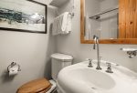 Guest bathroom -  101 Park Ave - Aspen CO